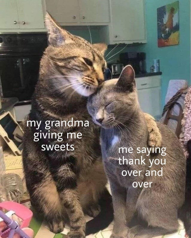 Cute cats as grandma and grandchild sharing sweets, displaying gratitude and family love.