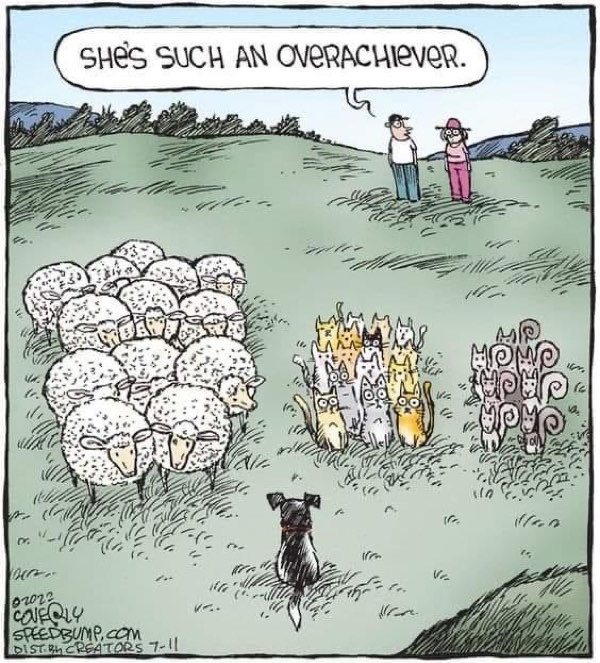 Humorous cartoon illustrating individuality and achievement against conformity, featuring diverse animals led by a confident dog.