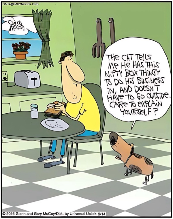 Funny kitchen cartoon with dog and man arguing about indoor litter box.