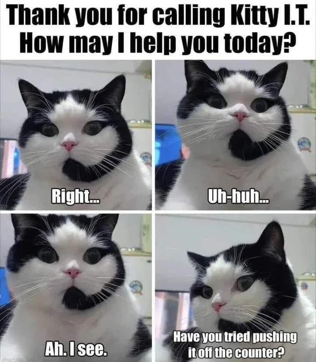 Funny cat as tech support representing a humorous kitten IT customer service comic strip.