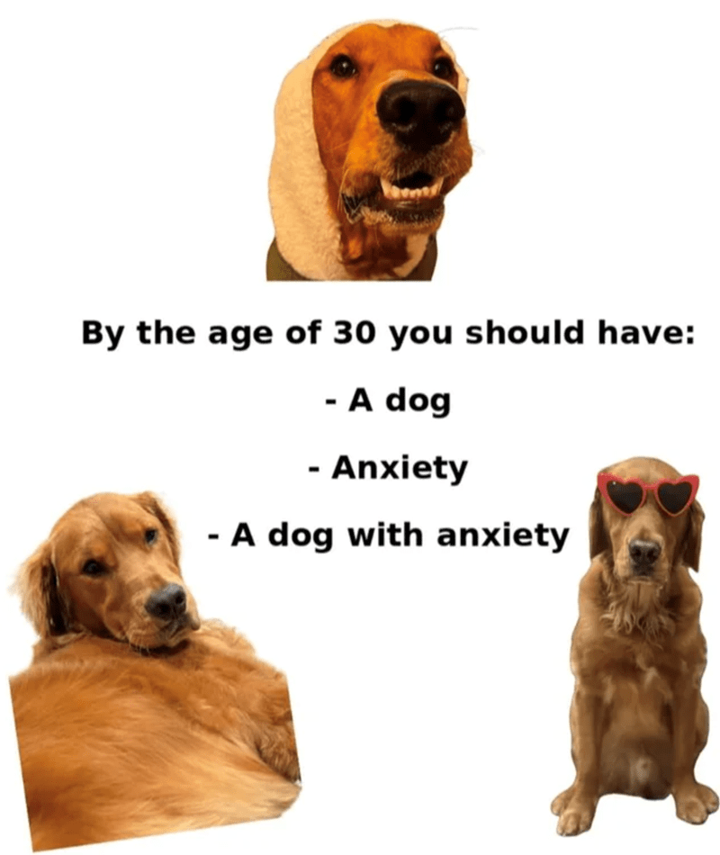 Humorous 30th birthday message with dogs, anxiety, and love for pets.