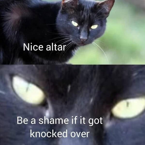 Black cat with piercing eyes near an altar, playful and mischievous, ready to knock things over.