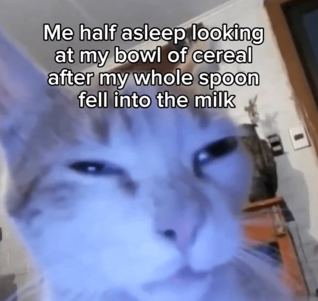 Funny sleepy cat with confused expression and spoon mishap in breakfast scene.