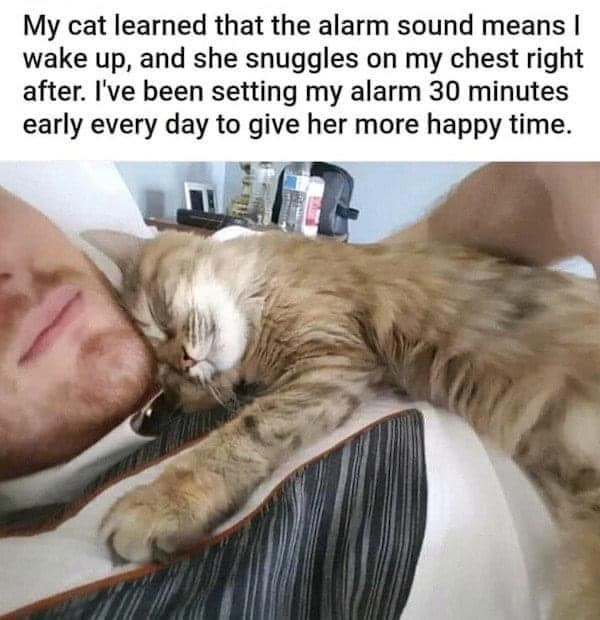 Person cuddling with a content orange tabby cat in a cozy, sunlit bedroom.
