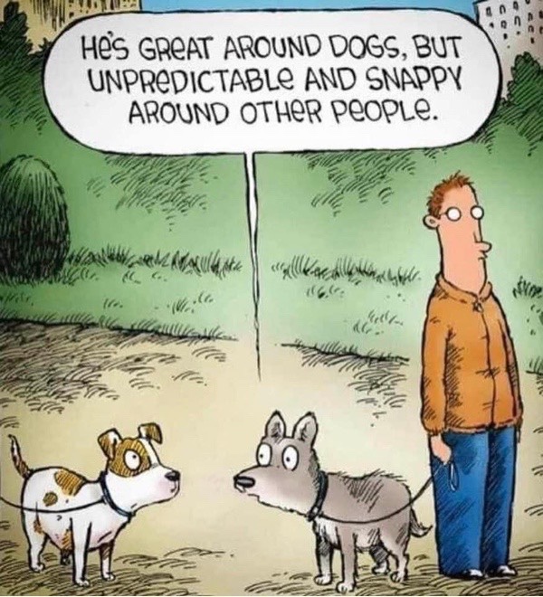 Humorous park scene with dogs and owner highlighting social challenges of dog ownership.