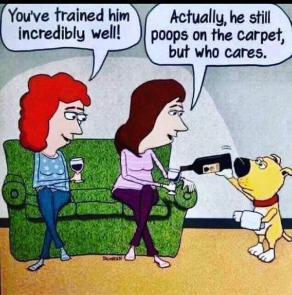 Humorous pet ownership cartoon showing a dog, training, and laughing friends on a cozy couch.