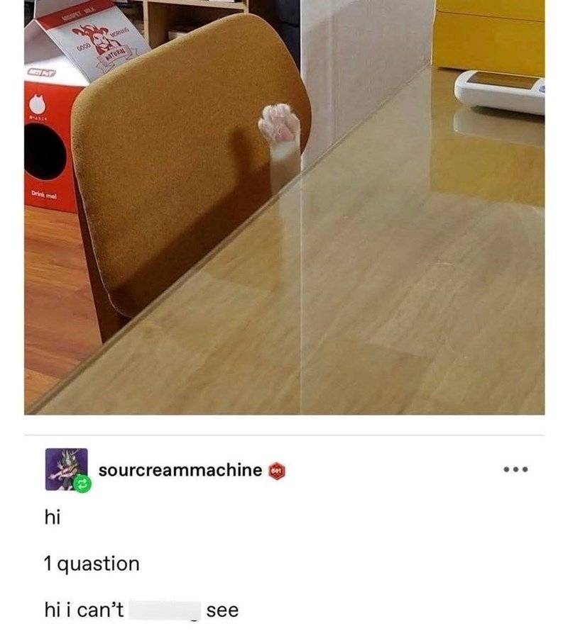 Funny cat paw peeking out from behind a transparent glass dining chair.