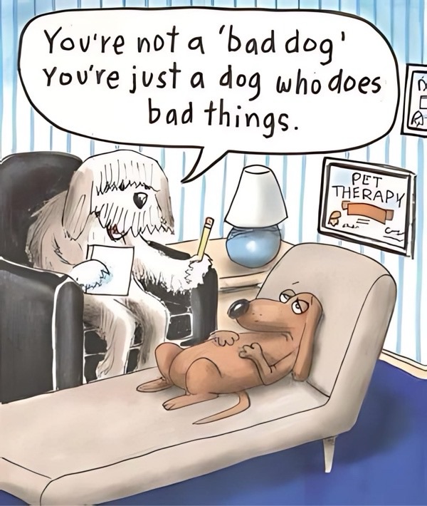 Humorous dog therapy cartoon with a therapist dog and a guilty-looking dachshund.