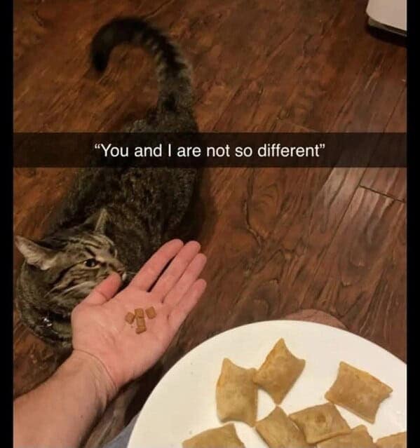 Shared moment of feeding treats with a curious tabby cat indoors.