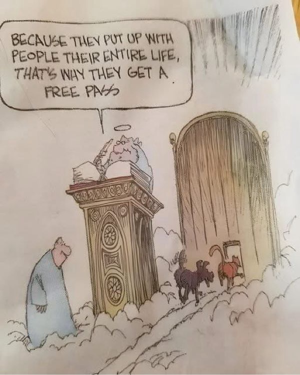 Pets get free pass to heaven for enduring human company, as illustrated in this humorous cartoon.