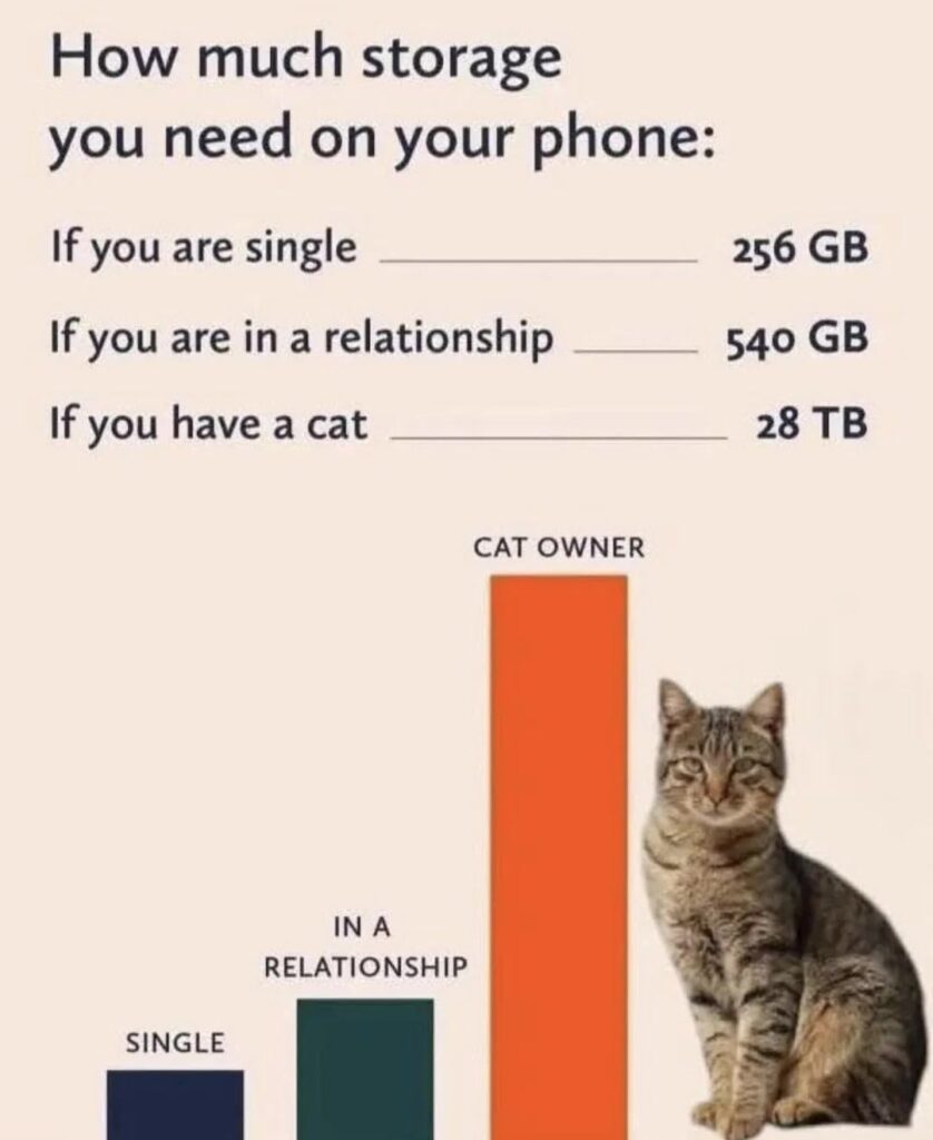 Humorous infographic showing phone storage needs for singles, couples, and pet owners with a cat.