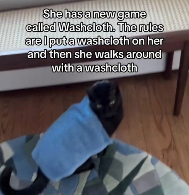 Cute black cat wearing a blue washcloth, playful indoor pet scene with cozy home surroundings.