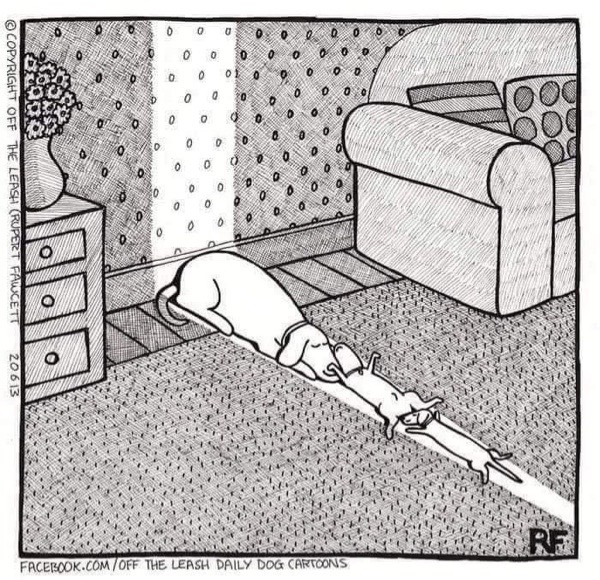 Playful cartoon dogs relaxing in a cozy living room with sofa, rug, and flowers.