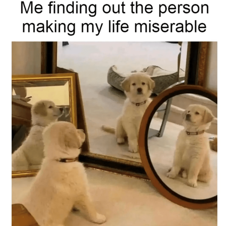 Adorable golden retriever puppy reflecting on life and personal frustrations in a cozy home.