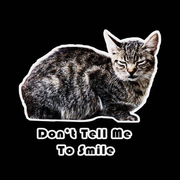Sassy gray tabby cat with a confident expression and humorous Dont Tell Me To Smile caption.