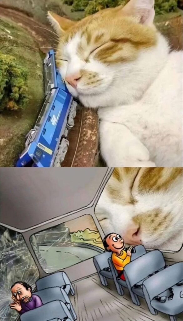 Whimsical scene of a sleeping cat next to model train and chaotic bus window with cartoon characters.