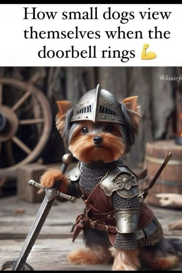 Cute small dog dressed as a medieval knight with armor and sword, humorous protector scene.