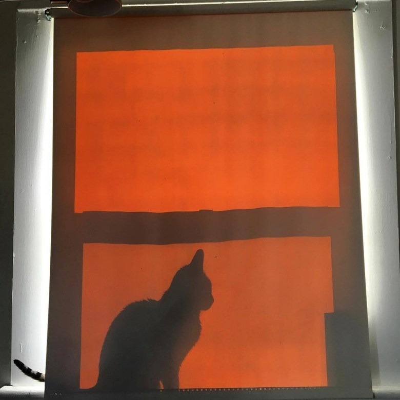 Silhouette of a cat sitting by a window during vibrant sunset, creating a warm and tranquil scene.