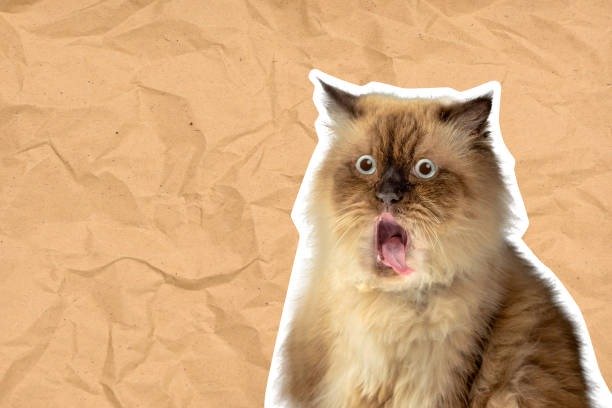 Fluffy brown cat with wide eyes and surprised expression on textured kraft paper background.