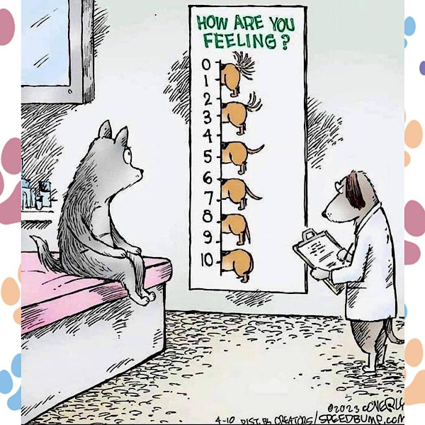 Humorous veterinary clinic scene with a wolf, dog doctor, and emotional feelings scale chart.