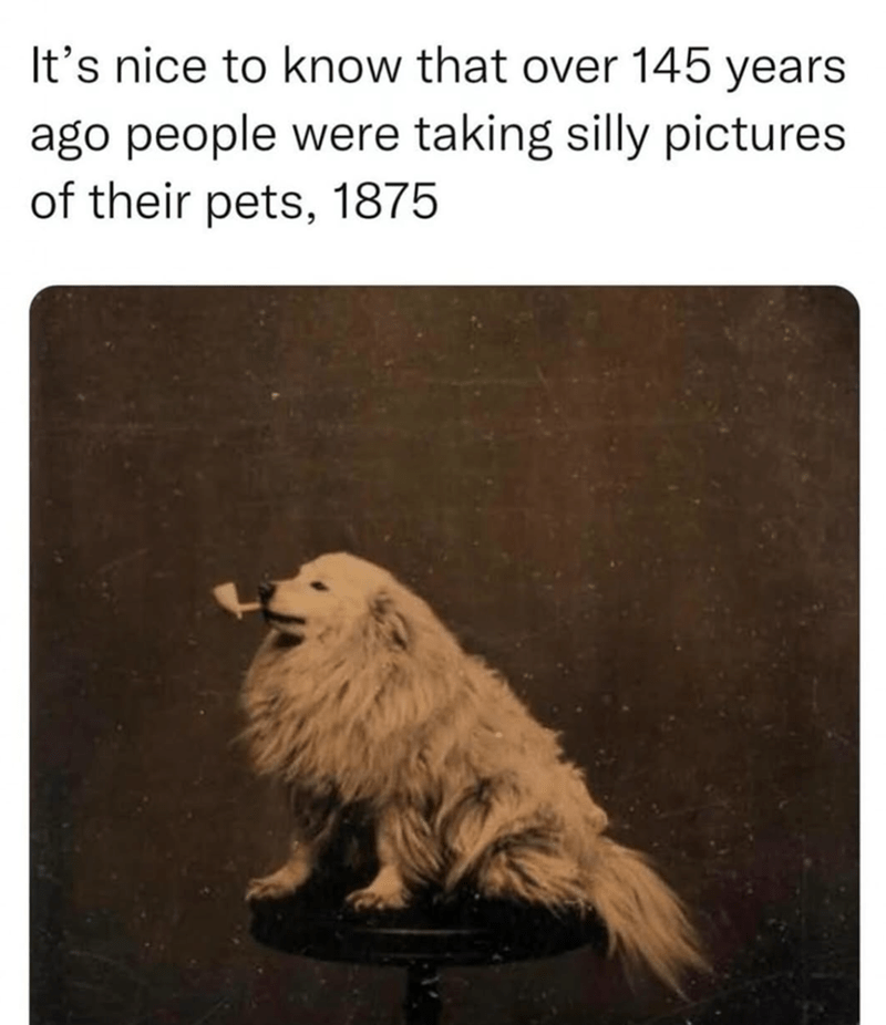 Vintage 1875 photo of fluffy dog with pipe, adorable pet portrait, historical pet photography, nostalgic dog image.