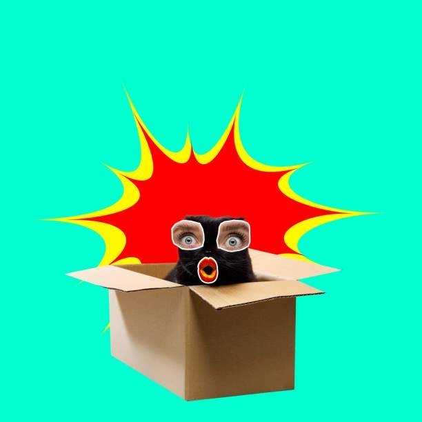 Funny cartoon cat bursting from a box with colorful explosion on vibrant turquoise background.