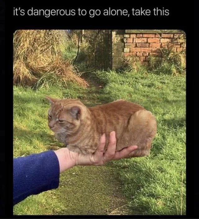 Whimsical cartoon cat in hand with outdoor countryside background, inspired by gaming meme caption.