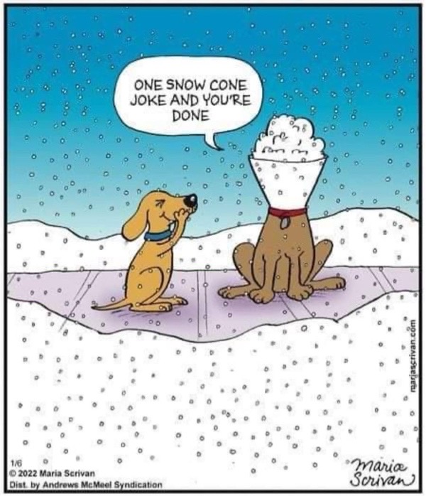 Funny winter cartoon of dogs with snow cone hat and snow-covered pavement scene.