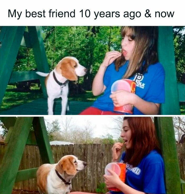 Cherished bond between girl and dog, childhood to adulthood, in a nostalgic backyard scene.
