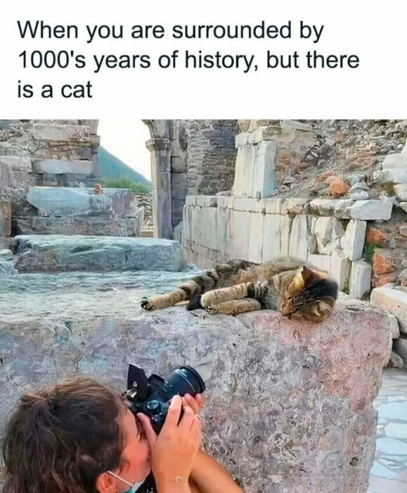 Young woman photographing a sleeping cat among ancient stone ruins.