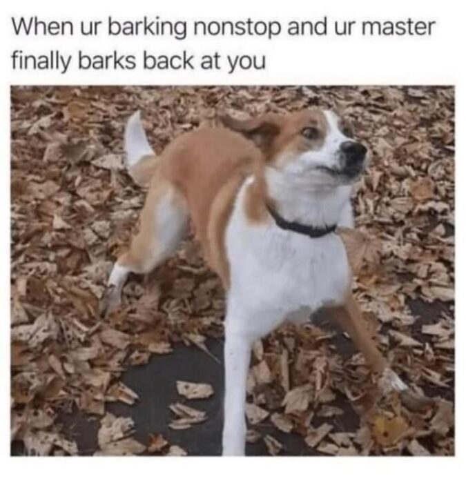Playful dog barking in autumn leaves during outdoor fun, capturing a joyful pet-owner moment.