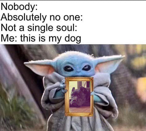 Baby Yoda proudly holding a framed photo of a cute dog in a funny meme.