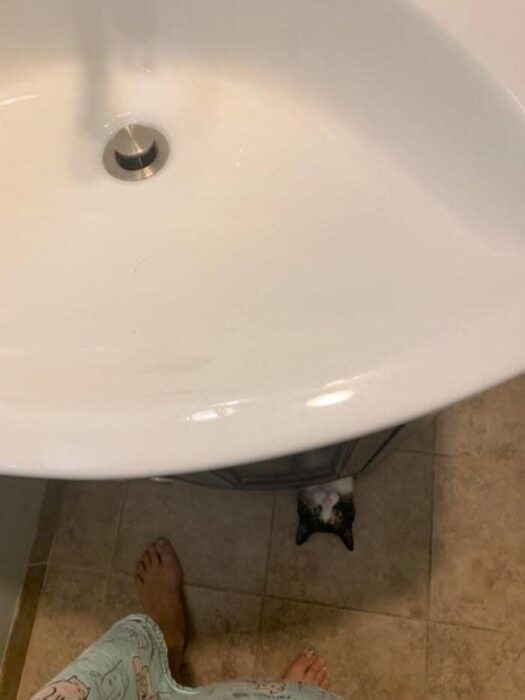 Playful black cat peeks from under bathroom sink near person in pajamas.