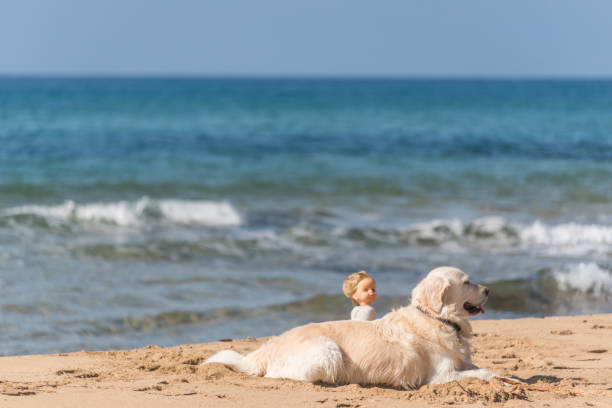 Serene beach scene with a golden retriever and porcelain doll by the ocean.