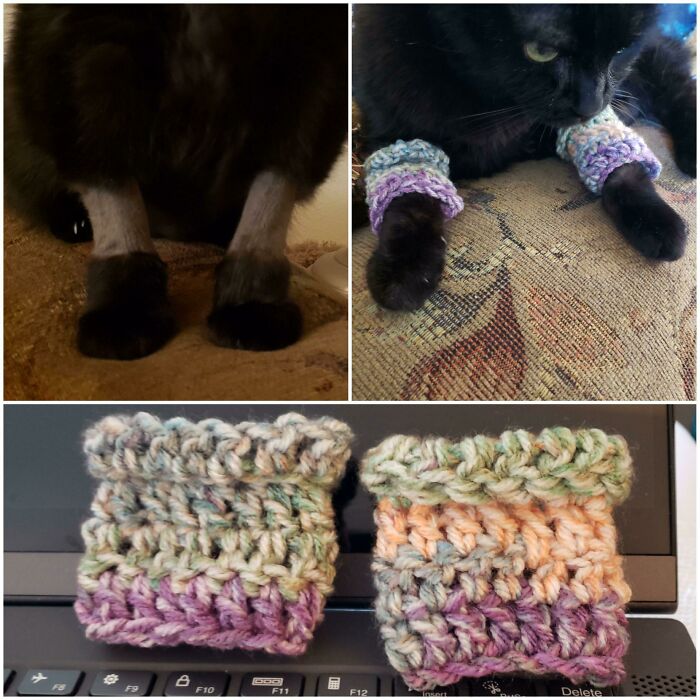Black cat wearing colorful crocheted leg warmers, showcasing cozy handmade pet accessories.