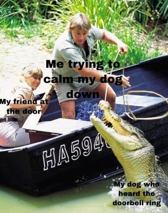 Man calming hyperactive dog near crocodile in wild riverside adventure boat.