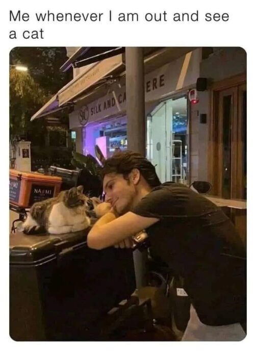 Young man gently bonding with calm cat outside storefront during evening urban stroll.
