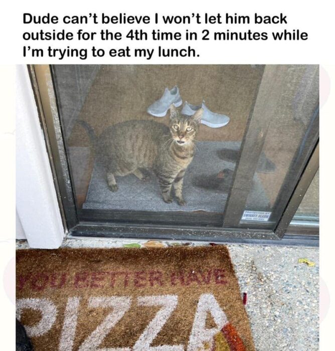 Humorous tabby cat blocking doorway with pizza-themed mat, expressing frustration during indoor outing.