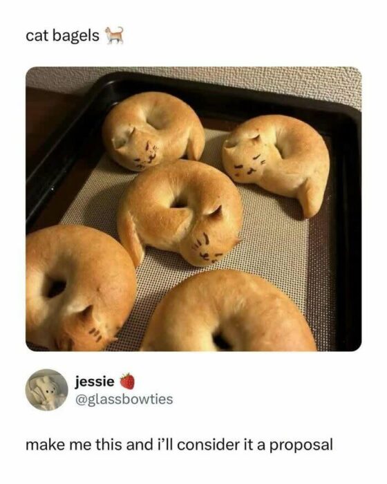 Cute cat-shaped bagels with facial features, baked to a golden-brown, playful and delicious.