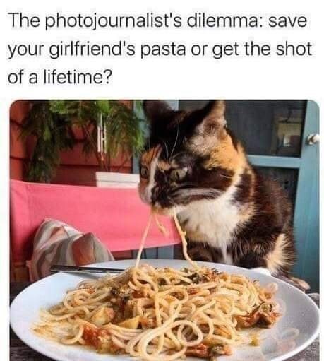 Curious calico cat eating spaghetti in cozy kitchen, creating funny pet food moment.