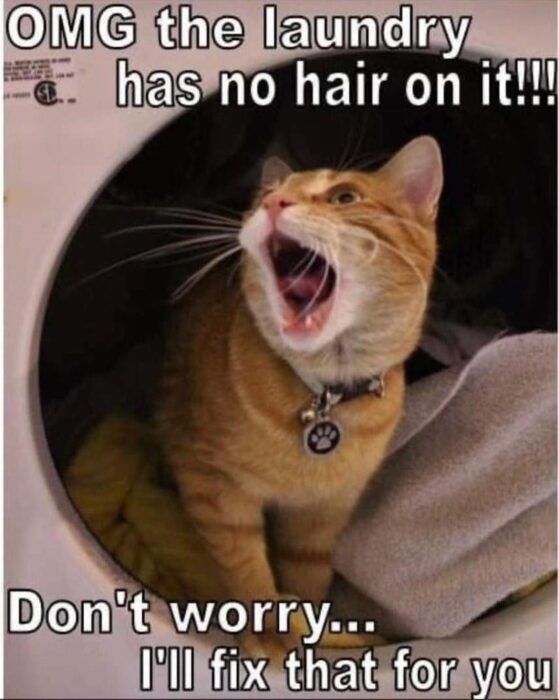 Funny cat in washing machine with surprised expression and humorous caption about fur and laundry.