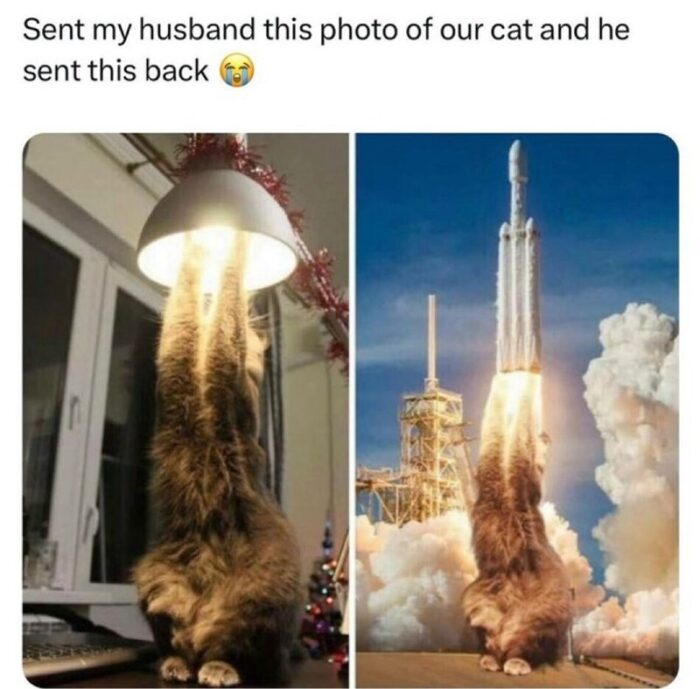 Humorous comparison of a cat reaching for a lamp and a rocket launch for playful SEO.