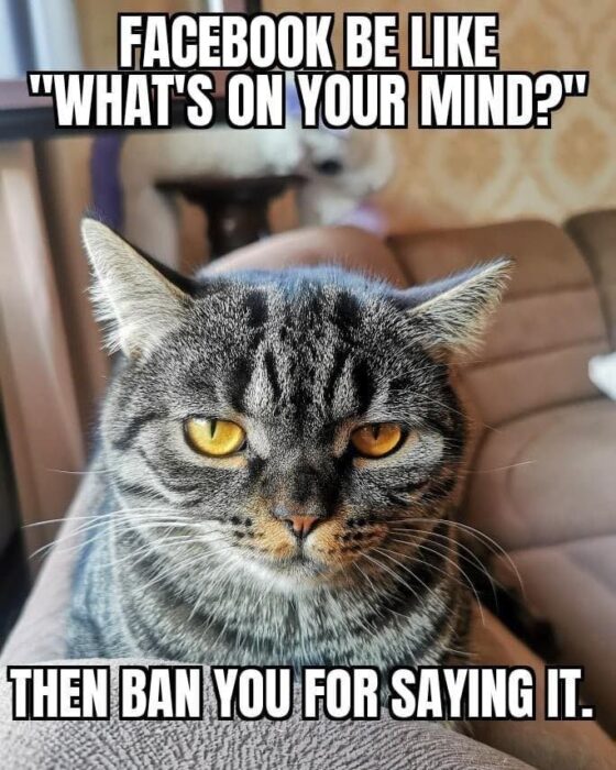 Funny cat meme about Facebook banning users for speaking their mind.