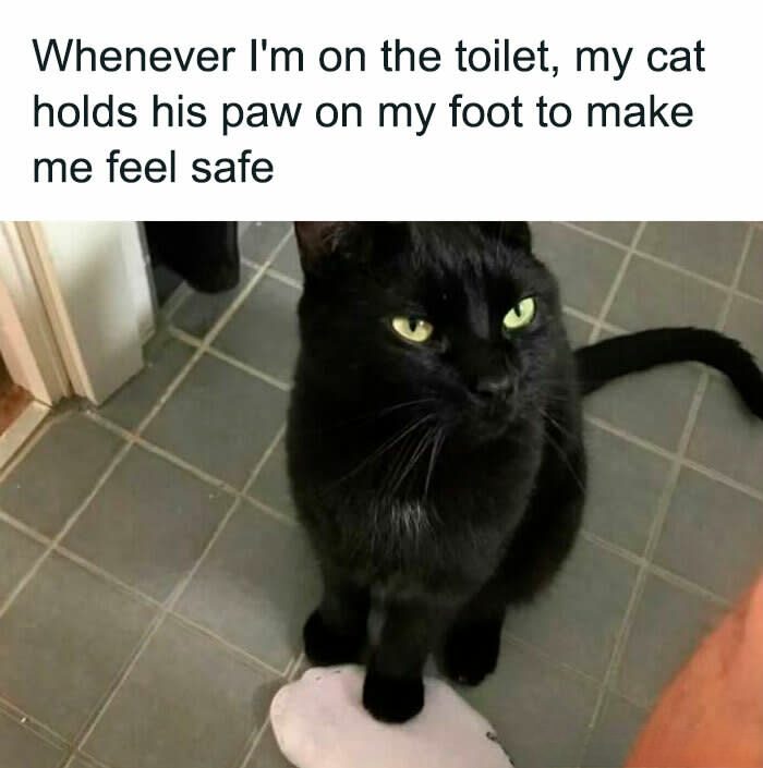 Loyal cat holding paw on owner’s foot in bathroom, showcasing bond and playful pet behavior.