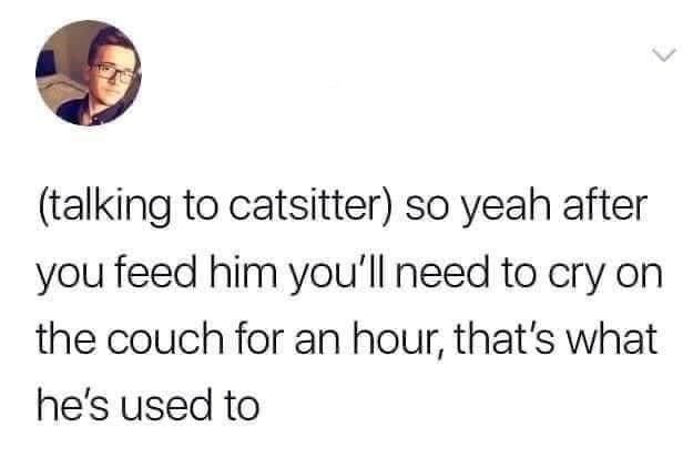 Humorous pet owner instructions for cat sitter, including crying on the couch after feeding the cat.