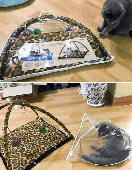 Cozy leopard print cat tent with colorful toys and a relaxed cat indoors.