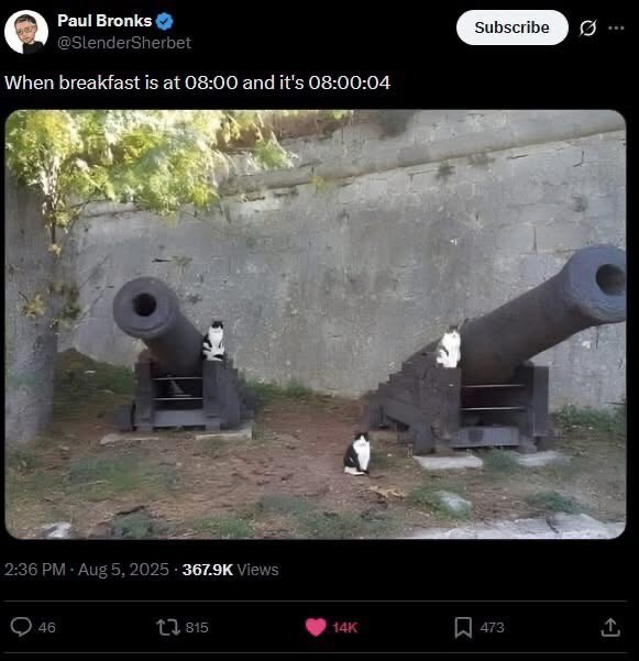 Playful cats sitting on old cannons near a historic stone wall and lush greenery at sunrise.