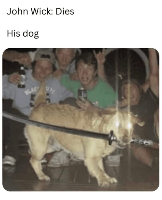 Funny dog with glowing eyes and friends at party, parodying John Wick with playful chaos.