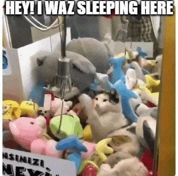 Funny cat trapped among plush toys in a colorful arcade claw machine.