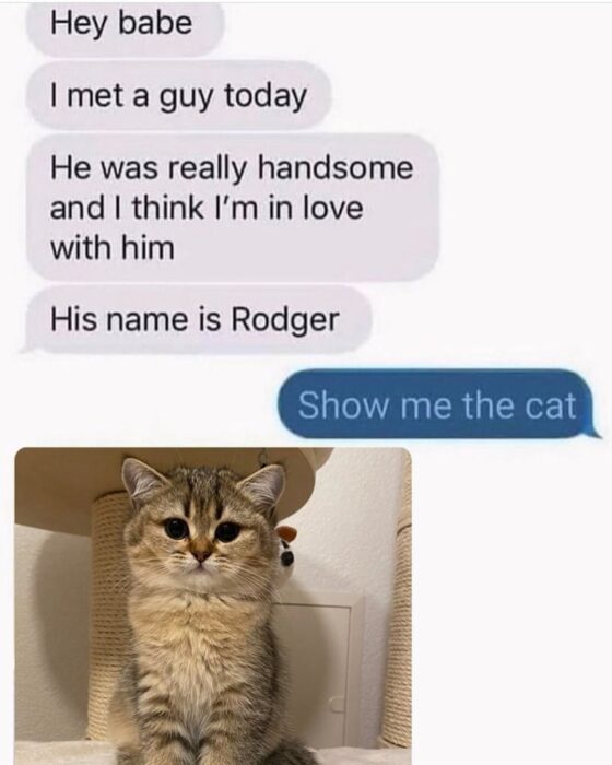 Funny text conversation about falling in love with a cute cat named Rodger.